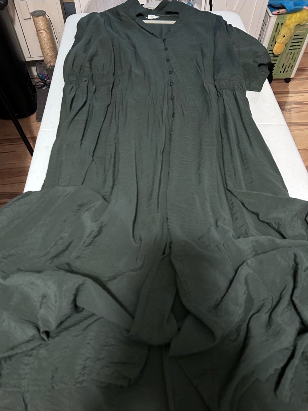 Terra & Sky Olive Green Button-Front Maxi Dress
